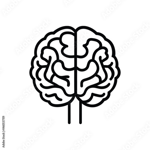 Isolated brain vector, line art anatomy on transparent background