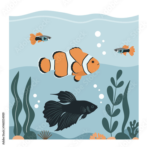 Colorful clownfish and betta fish swimming in underwater seaweed aquarium vector illustration 