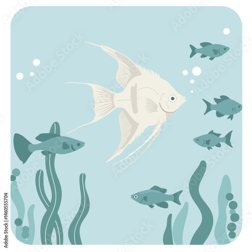 Angelfish swimming among small fish and aquatic plants underwater in calm blue environment vector illustration 