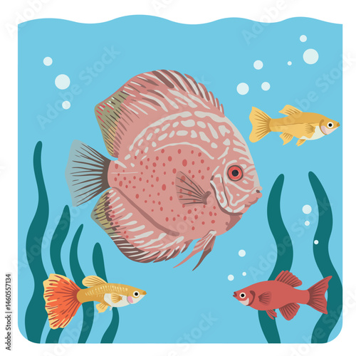 Colorful aquarium fish with discus and small tropical fish swimming in blue water vector illustration 