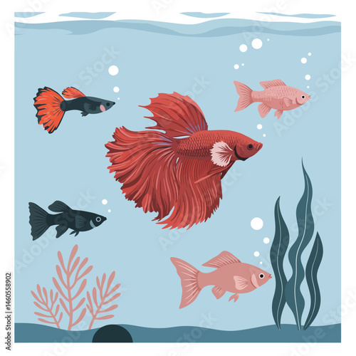 Colorful tropical aquarium fish swimming underwater with aquatic plants and bubbles vector illustration 