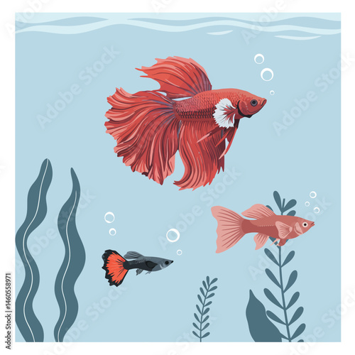 Red Betta Fish Swimming with Guppy Fish and Aquatic Plants in Blue Water Vector Illustration 