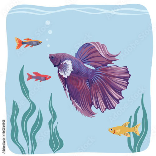 Betta fish and colorful aquarium fish swimming underwater with aquatic plants and bubbles vector illustration 