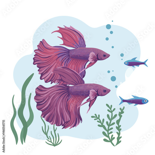 Two purple betta fish swimming underwater with small blue fish and aquatic plants vector illustration 