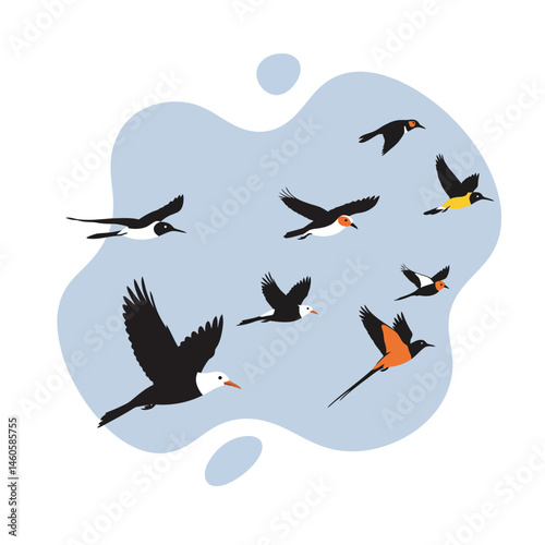 Flying birds in formation vector illustration with diverse species in blue sky natural scene 