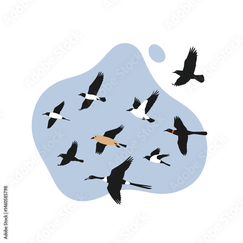 Flying birds group with varied species in blue abstract background vector illustration 