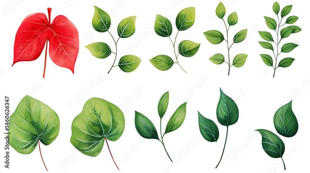 Vibrant Fresh Red Grenadines and Green Leaves on White Background for Elegant Designs Vibrant Fresh Red Grenadines and Green Leaves on White Background for Elegant Designs