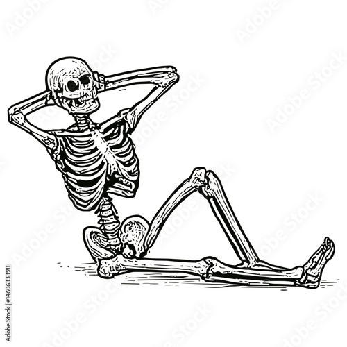 Skeleton 12