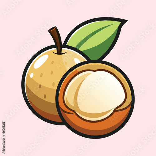 Delicious and Juicy Longan Fruit Illustration with a Half Cut Showing the Creamy White Flesh and a Green Leaf