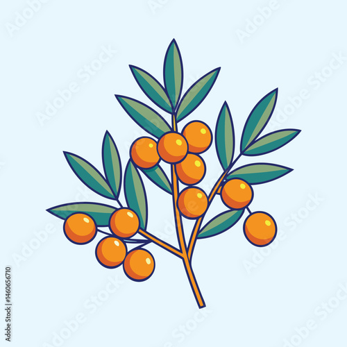 Sea buckthorn branch vector illustration, orange berries with green leaves on stem, organic botanical plant element for health and beauty packaging