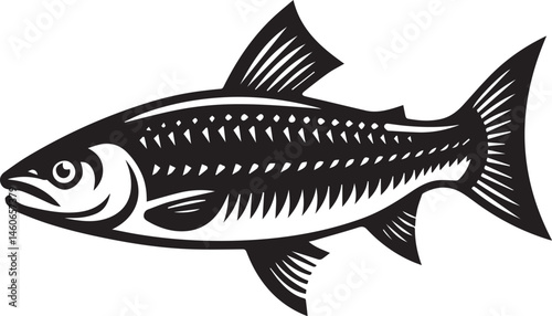 vector illustration of a fish white background