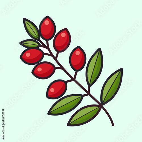 Illustration of a Branch with Red Berries and Green Leaves Botanical Drawing of a Plant with Small Red Fruits
