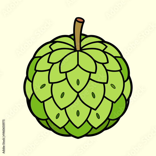 A Detailed Illustration of a Single Cherimoya Fruit with a Green Hue and a Scaly Texture