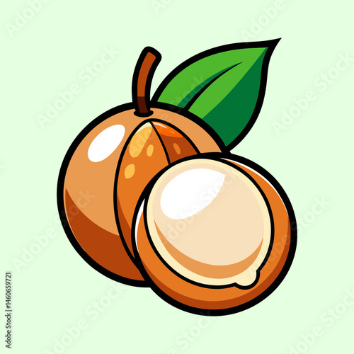 illustration of a delicious longan fruit with a leaf a tropical fruit that is sweet and juicy