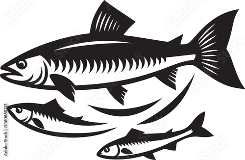vector illustration of a fish white background