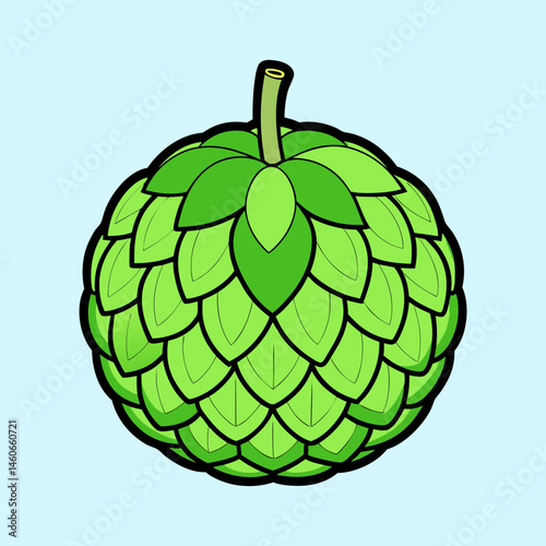 Illustration of a Single Green Hop Cone with Detailed Leaf Structure