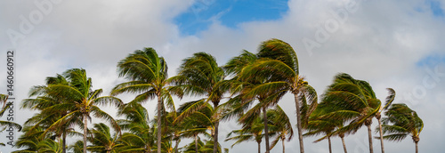 Принти на полотні Tropical beach in Miami