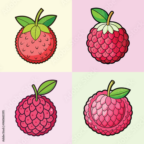 Four illustrations of lychees showing variations in style and detail