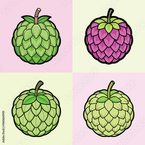 Stylized custard apple fruit icons, set of 4 tropical sugar apple illustrations in EPS format, colorful cherimoya vector graphics for food packaging