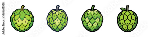 Custard apple fruit icons, set of 4 green sugar apple vector illustrations, tropical cherimoya fruit graphics for food packaging