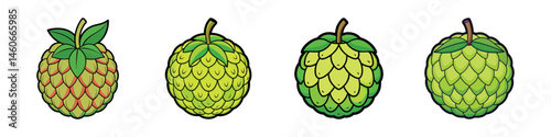 Stylized Illustration of Four Custard Apples with Different Shades of Green Color
