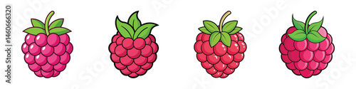 Four cartoon raspberries showing slightly different shapes and different angles of view