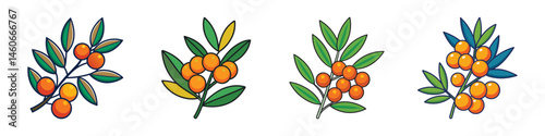Sea Buckthorn Branch Vector Illustration Set with Vibrant Orange Berries and Green Leaves
