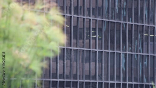 Rain Falling Against Dark Building With Plant