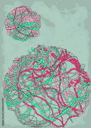 Mycelial Orbs