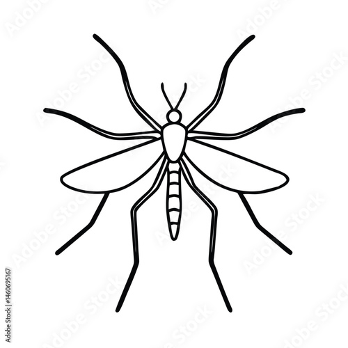 Simple Line Drawing of a Mosquito Insect