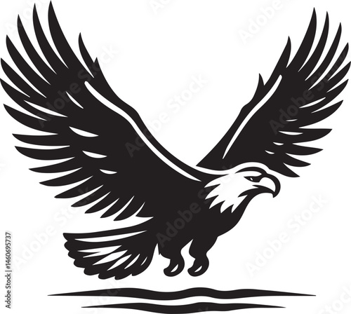eagle vector illustration, eagle in a white background