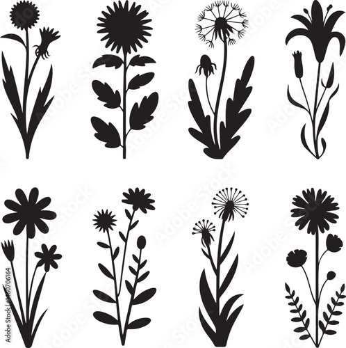 Blooming Spring Flowers Silhouette Scene

Wildflowers in the Breeze Vector Design

Elegant Floral Spring Arrangement Silhouette

Spring Garden Blossom Silhouette Art

Dainty Spring Flowers Outline Vec