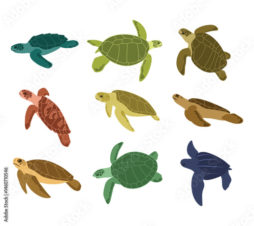 A charming collection of turtle illustrations in various swimming poses and angles. Ideal for ocean-themed designs, marine life visuals, educational content, and aquatic decor.