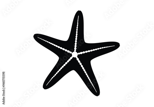 Sea star silhouette. This image features the dark outline of a starfish, highlighting its five arms, textured surface, and marine presence in ocean ecosystems. Vector clipart illustration design.