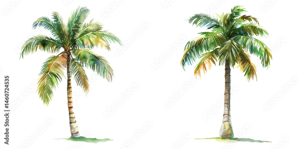 palm tree watercolor vector illustration