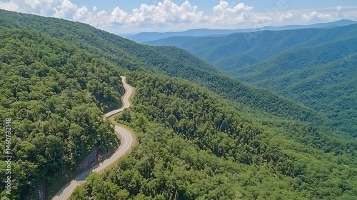 Ultra sharp aerial view of winding forest path surrounded lush green trees under bright summer sky crisp vivid colors