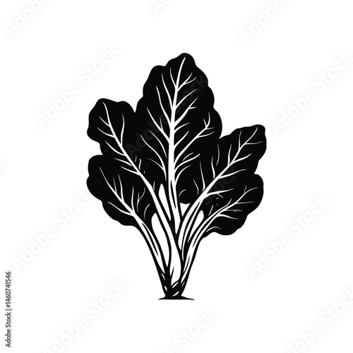 Minimalist Swiss Chard Leaves on Transparent Background, Isolated Element