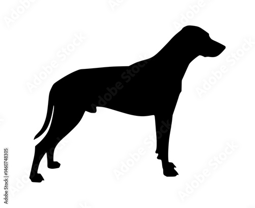 Great Dane Silhouette Vector