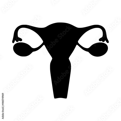 Female Reproductive System Silhouette
