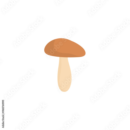 Shiitake mushroom illustration