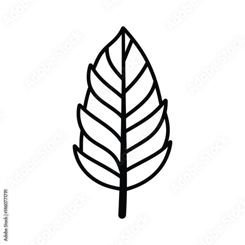 Single Leaf Outline Drawing with Veins on Transparent Background