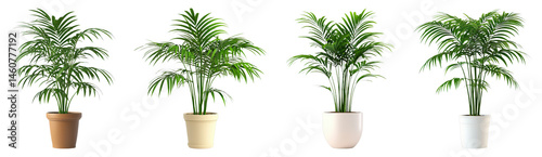 Variety of Lush Green Indoor Plants in Stylish Pots for Home Decor