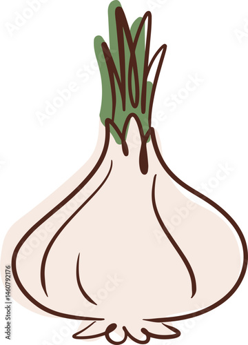 vector illustration of onion
