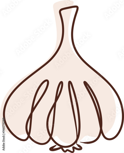 vector illustration of a garlic