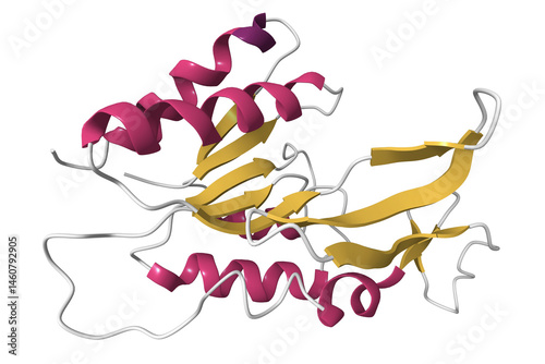Solution structure of a human cancer-related nucleoside triphosphatase. 3D cartoon model, secondary structure color scheme, pdb 2i3b