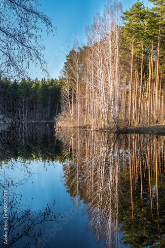 Obraz na płótnie Calm lake with green trees on the shore and a beautiful reflection. Summer landscape. w salonie