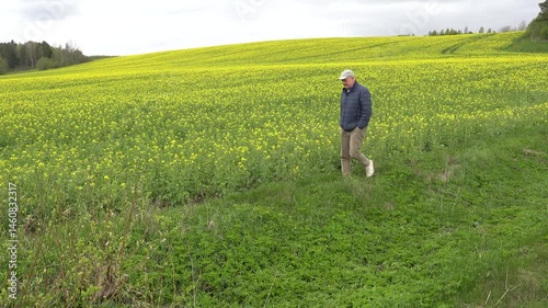 Riga, Latvia A man walks through fields of rapeseed flowers in the spring. 