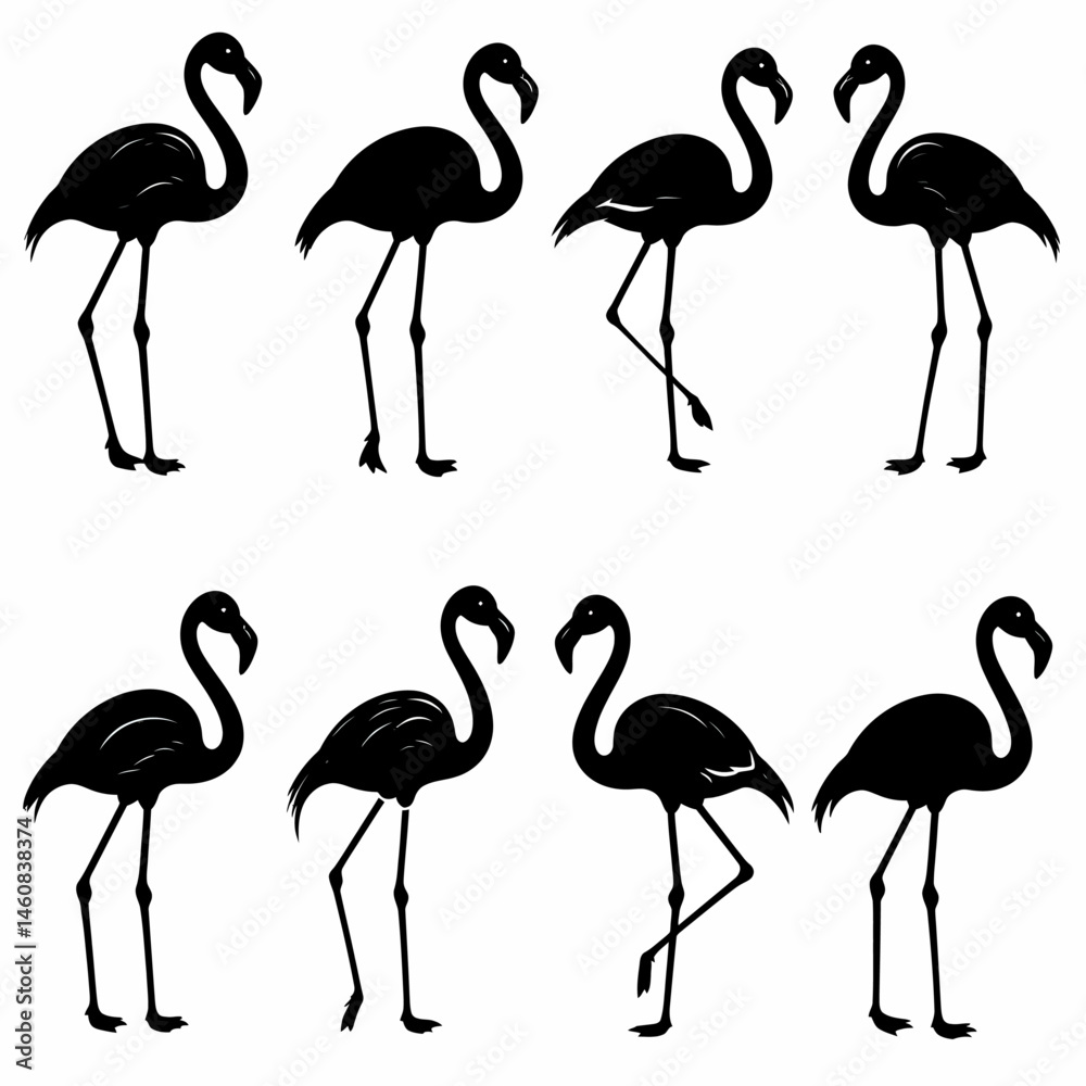 Obraz premium Collection of flamingo silhouettes in various poses on white background perfect for summer designs and tropical themes