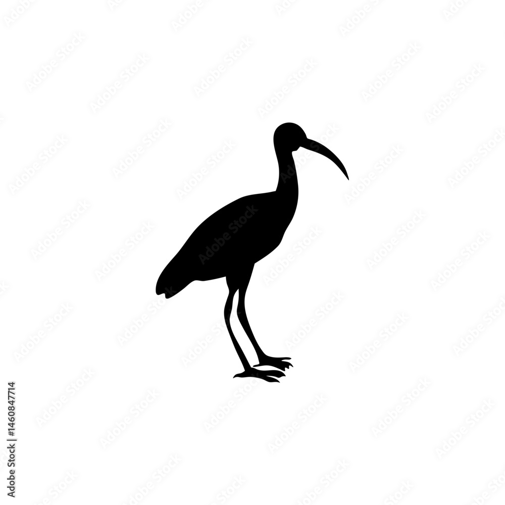 Fototapeta premium Ibis bird silhouette. Vector illustration