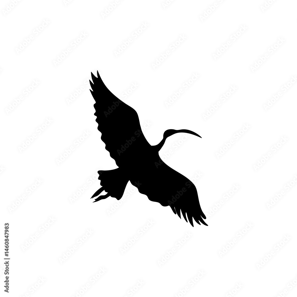 Obraz premium Ibis bird silhouette. Vector illustration 